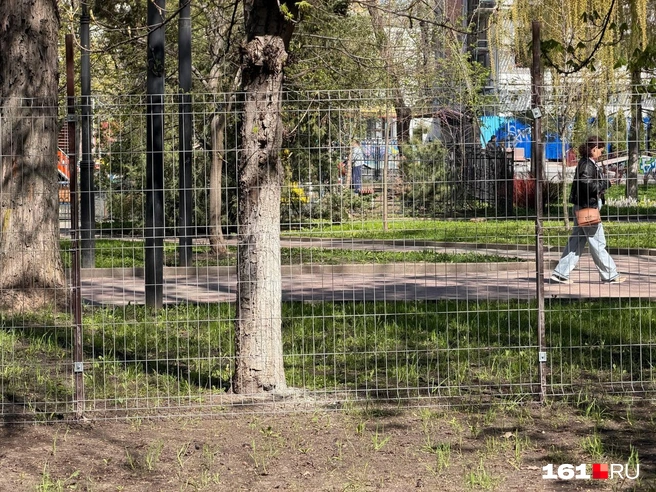 Источник: Евгений Вдовин / 161.RU