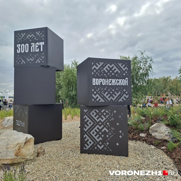 Источник: Алёна Воропаева / Voronezh1.ru
