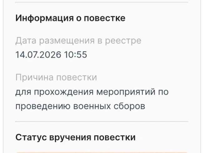 Пример электронной повестки на военные сборы, получаемой жителями Урала | Источник: читатель E1.RU