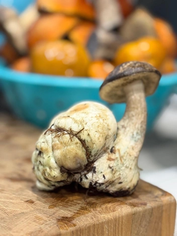 Источник: Татьяна Чепрасова