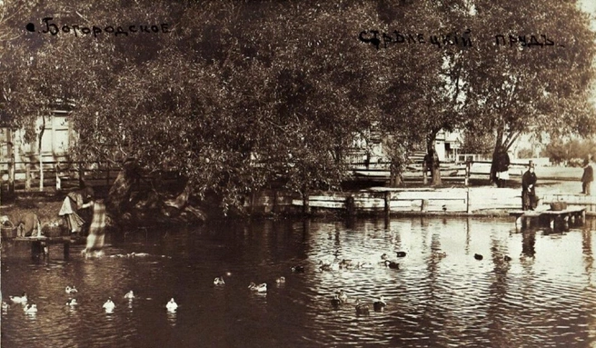Стрелецкий пруд в селе Богородское (1900–1915 годы) | Источник: pastvu.com