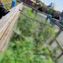 Источник: www.city-n.ru
