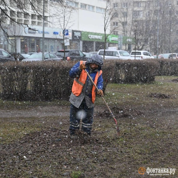 Источник: Андрей Бок / «Фонтанка.ру»