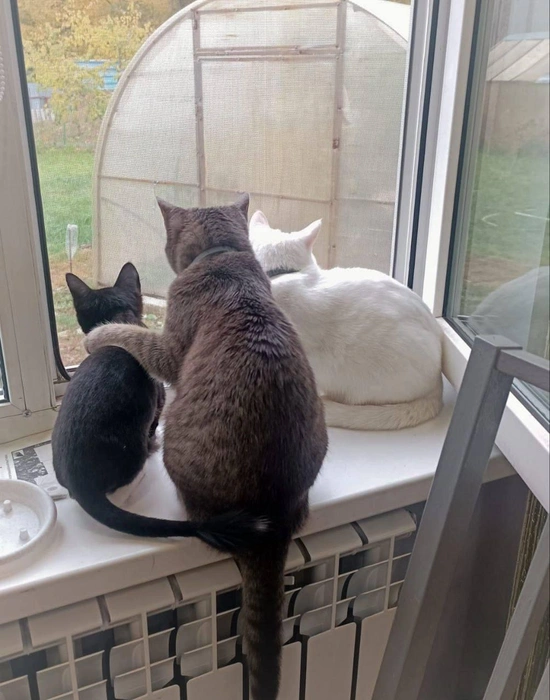 Смотри, малыш, как прекрасен этот мир! | Источник: читатель 63.RU