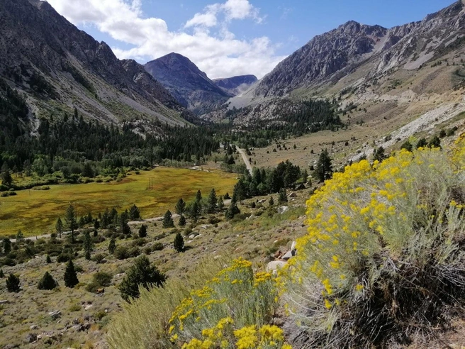 А это национальный парк Йосимити. Он находится в округах Мадера, Марипоса и Туолумне штата Калифорния (США) | Источник: личный архив Ильи Морозова
