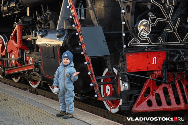 Источник: Елена Буйвол / VLADIVOSTOK1.RU