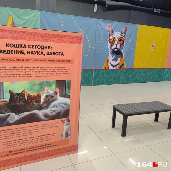 Источник: Сергей Гендин / 164.RU