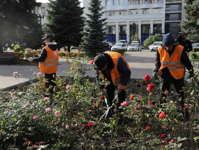 Кусты роз тоже обрезают | Источник: Иван Носков / T.me