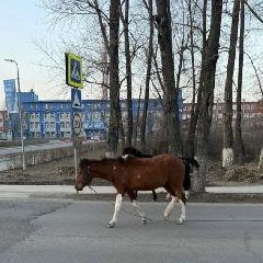Источник: city-n.ru