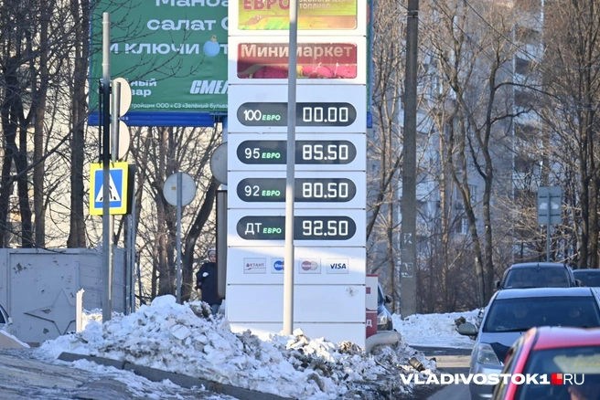 Источник: елена Буйвол / VLADIVOSTOK1.RU