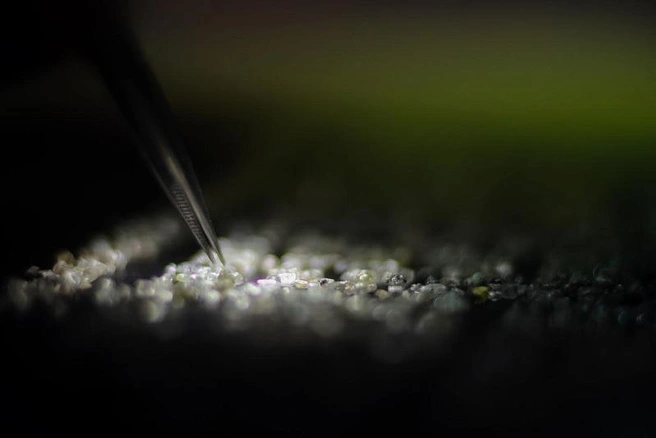 Источник: правительство Архангельской области