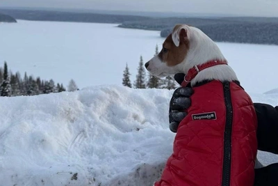 Как екатеринбуржцы встретили новый год: 15 фотографий