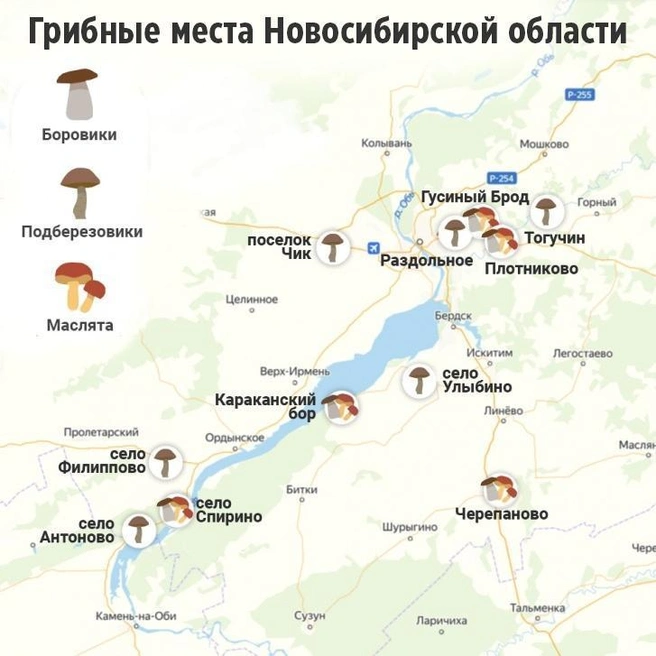 Источник: Юрий Орлов / Городские медиа
