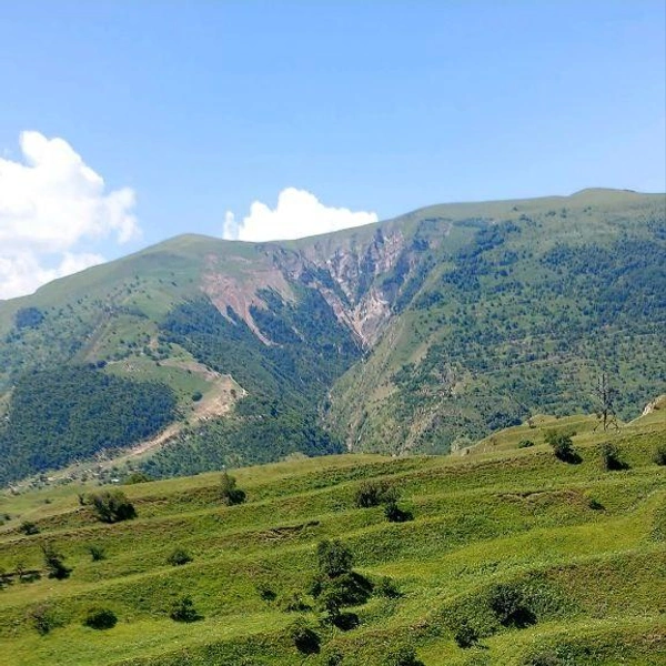 Источник: читательница E1.RU Юлия