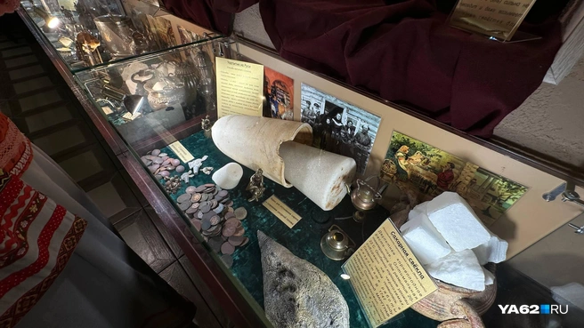 Так выглядят сахарная свекла и сахарная голова | Источник: Виктория Улитова / YA62.RU