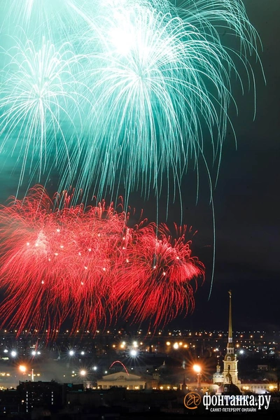 Источник: Дарья Драй/«Фонтанка.ру»