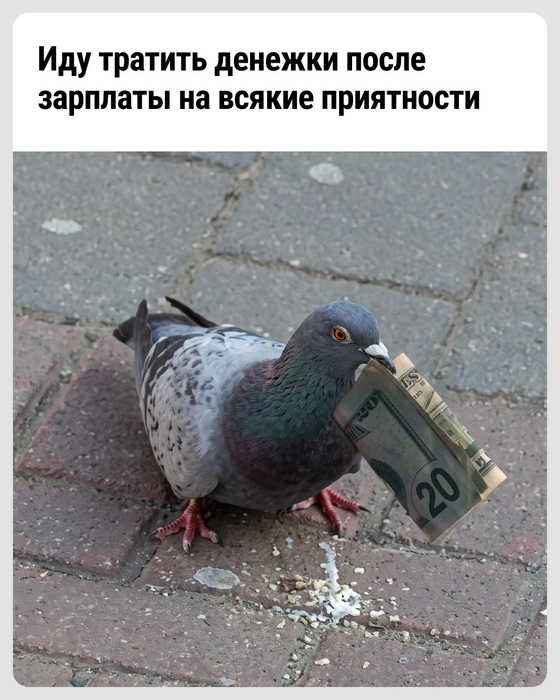 Маршрут до ПВЗ построен | Источник: Городские медиа