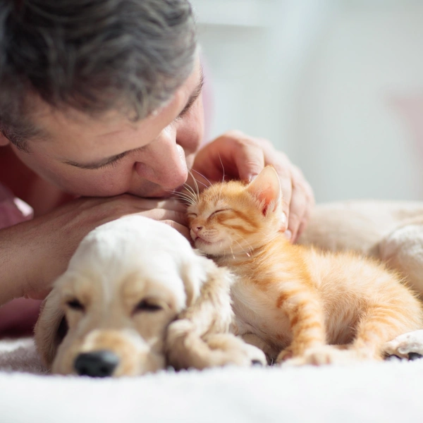 Источник: Shutterstock/Fotodom.ru