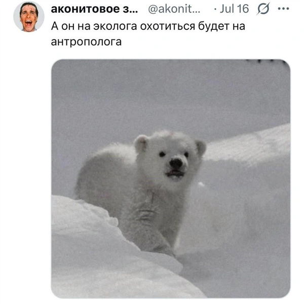 Источник: Соцсети