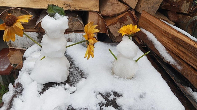 Источник: читатель НГС