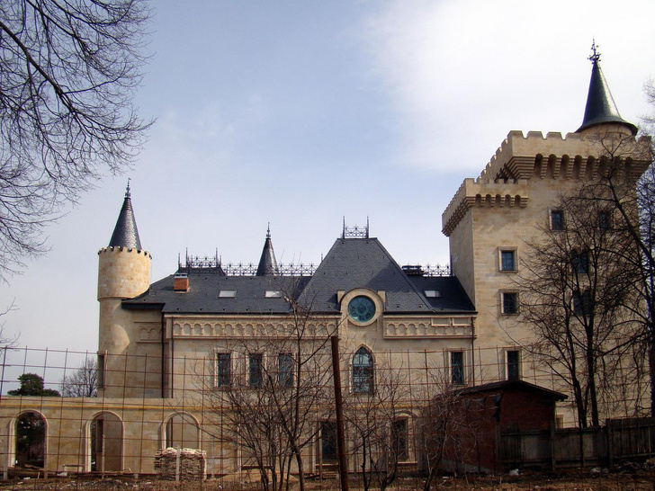 Замок Пугачевой и Галкина* в деревне Грязь под арестом