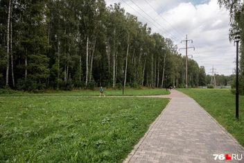 Спортсмены бегают по дорожкам, а семейные пары спокойно прогуливаются по ним с колясками | Источник: Александр Куренной / 76.RU