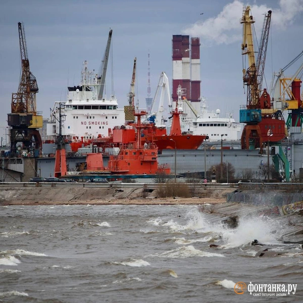Источник: Валентин Егоршин / «Фонтанка.ру»