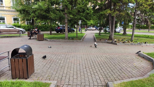 Сквер медицинской доблести облюбовали и изгадили голуби | Источник: Полина Бородкина / NGS24.RU