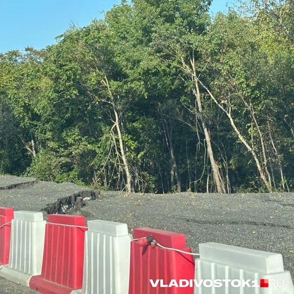 Источник: Елена Буйвол / VLADIVOSTOK1.RU