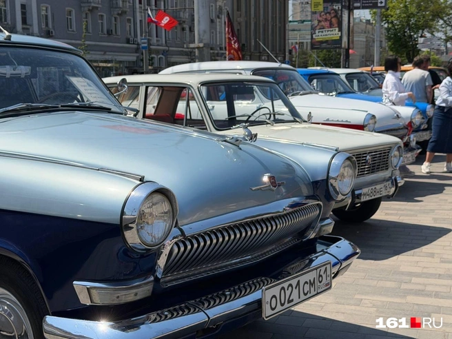 Фигурка оленя в прыжке с 1956 года считается символом «Волги» | Источник: Евгений Вдовин / 161.RU