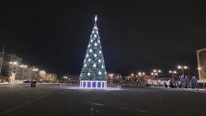 Установка елки обошлась почти в 800 тысяч рублей | Источник: Сергей Петунин / 164.RU