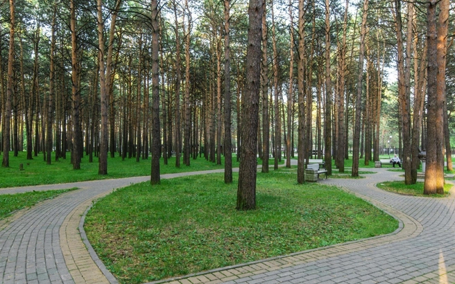 Сквер находится в Сургуте | Источник: Екатерина Андреева / 2gis.ru