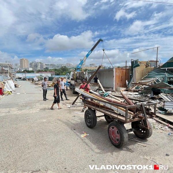 Источник: Елена Буйвол / VLADIVOSTOK1.RU