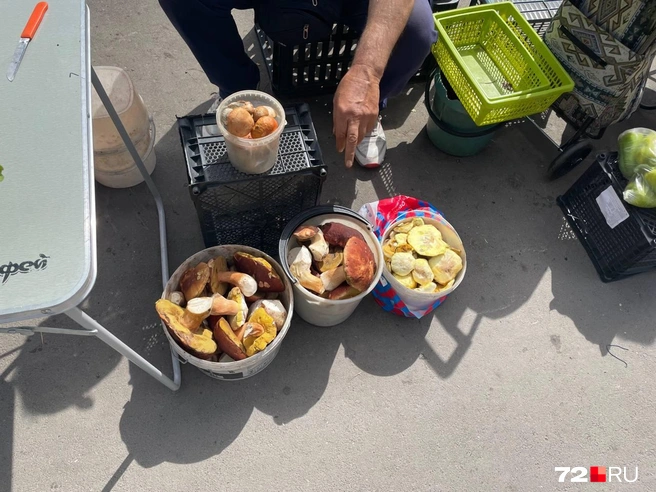 Тут мужчина продавал белые грибы за 800 и 1000 рублей | Источник: Радик Енчу / 72.RU