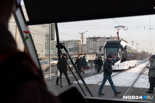 Пешеходы тут чувствуют себя раскованней, чем на дороге  | Источник: Мария Ленц / NGS24.RU