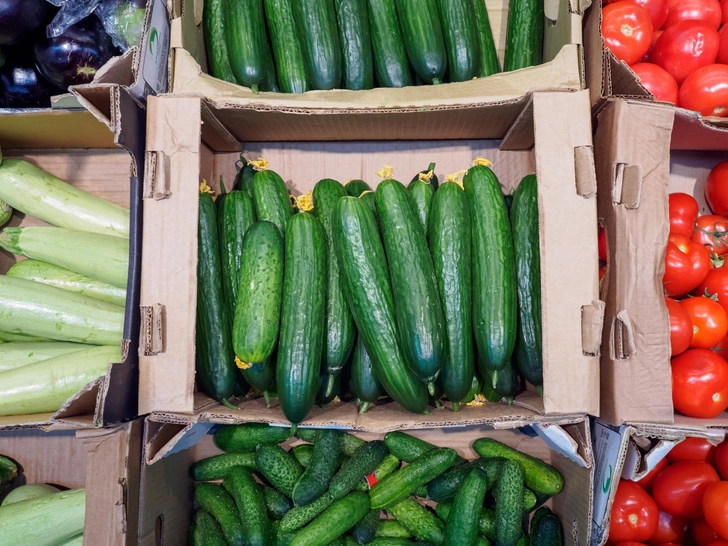 Экономисты объяснили, почему россиянам не нужно завидовать Дубаю, где огурцы по 63 рубля Экономисты объяснили, почему россиянам не нужно завидовать Дубаю, где огурцы по 63 рубля