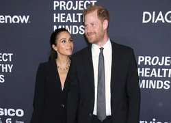 Меган Маркл и принц Гарри снимут документальный фильм о герлскаутах