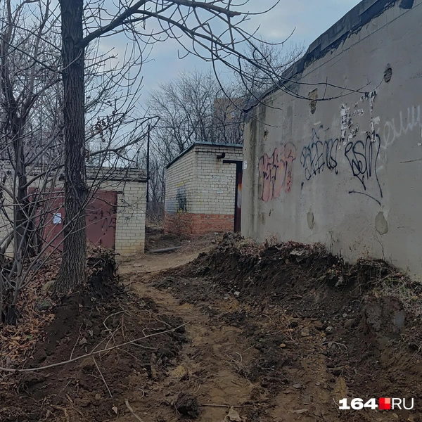 Источник: Сергей Гендин / 164.RU