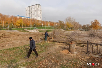 Источник: Алексей Волхонский / V1.RU