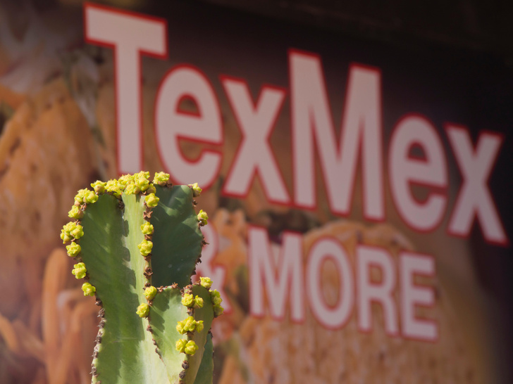 Рождение и слава текс-мекса: удивительные приключения мексиканских блюд в Америке