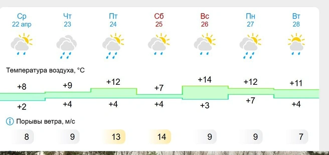 Прогноз неутешительный  | Источник: www.gismeteo.ru