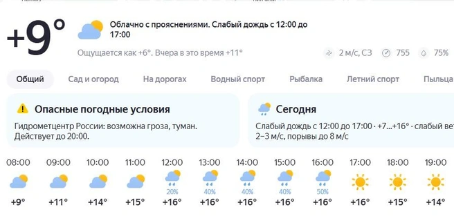 Надеемся, что дождя всё же не будет  | Источник: yandex.ru/pogoda