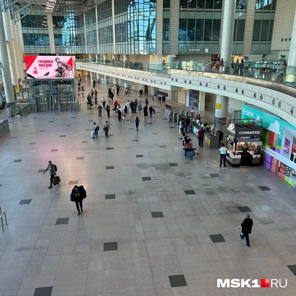 Источник: Елизавета Фатеева / MSK1.RU