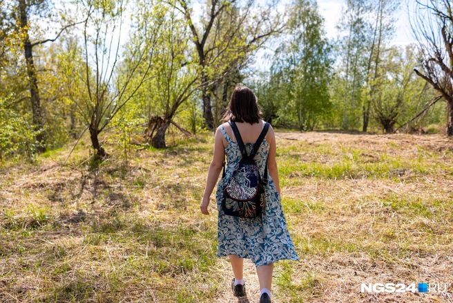 Покосы там, где растет венерин башмачок | Источник: Мария Ленц / NGS24.RU