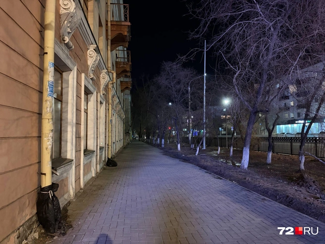 Удивили пакеты, намотанные на сточные трубы | Источник: Дарья Макеева / 72.RU