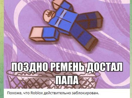 Глава Лиги безопасного интернета Екатерина Мизулина опубликовала изображение в своём Telegram-канале. | Источник: Екатерина Мизулина / T.me