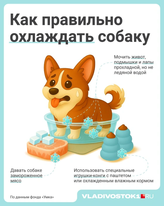 Источник: Полина Авдошина / Городские медиа