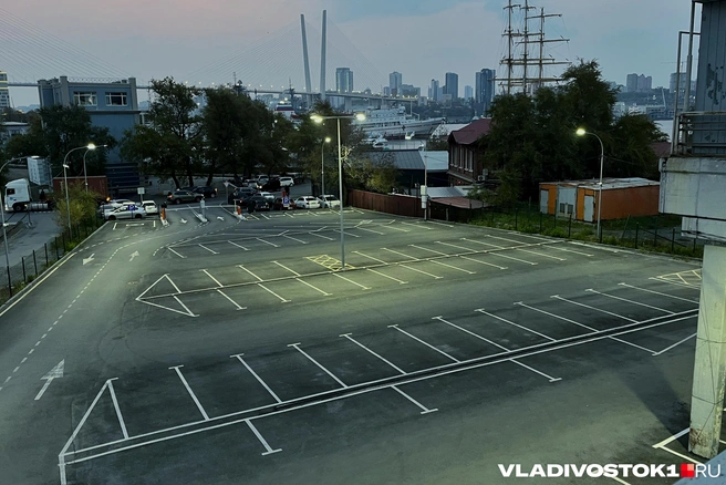 Они уже вступили в силу | Источник: Елена Буйвол / VLADIVOSTOK1.RU