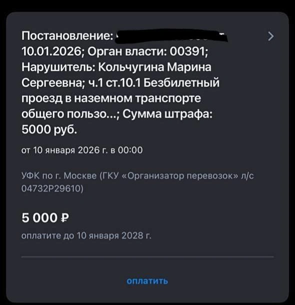 Штраф до сих пор «висит» на Госуслугах | Источник: предоставлено Мариной Кольчугиной