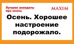 Самые смешные и лучшие анекдоты про осень